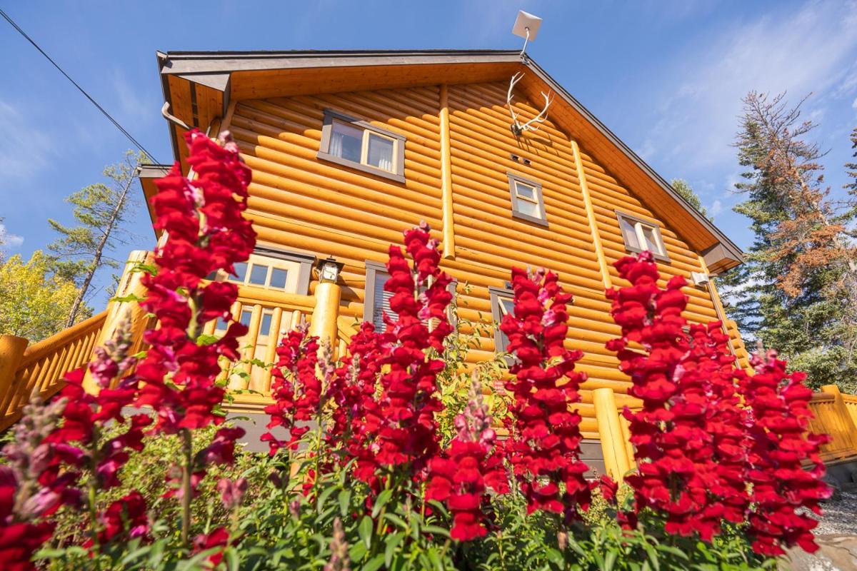 Castle Mountain Chalets Eksteriør billede